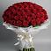 Букет 101 Красная роза Блэк Мэджик в Курсаково
