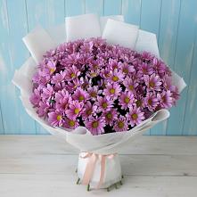 Букет цветов из:  Хризантемы в Курсаково