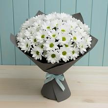Букет цветов из:  Хризантемы в Курсаково