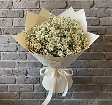 Букет цветов из:  Ромашки #REPLACE_PRED# Курсаково