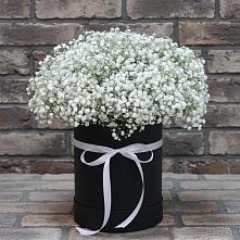 Цветочная композиция из Гипсофила в шляпной коробке #REPLACE_PRED# Курсаково