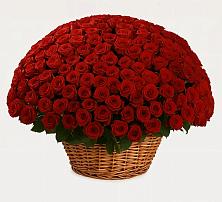 Премиум букет из: Розы в Курсаково