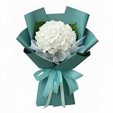 Букет цветов из:  Гортензия #REPLACE_PRED# Курсаково